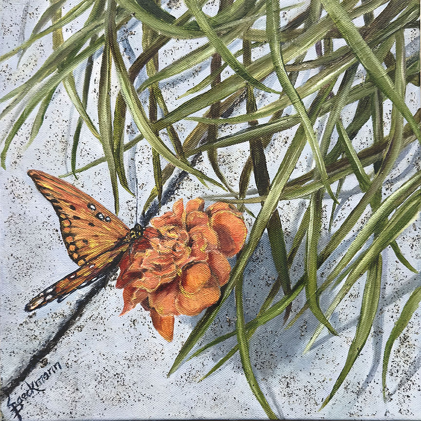 Monarch In Bloom, Oil 12x12 in